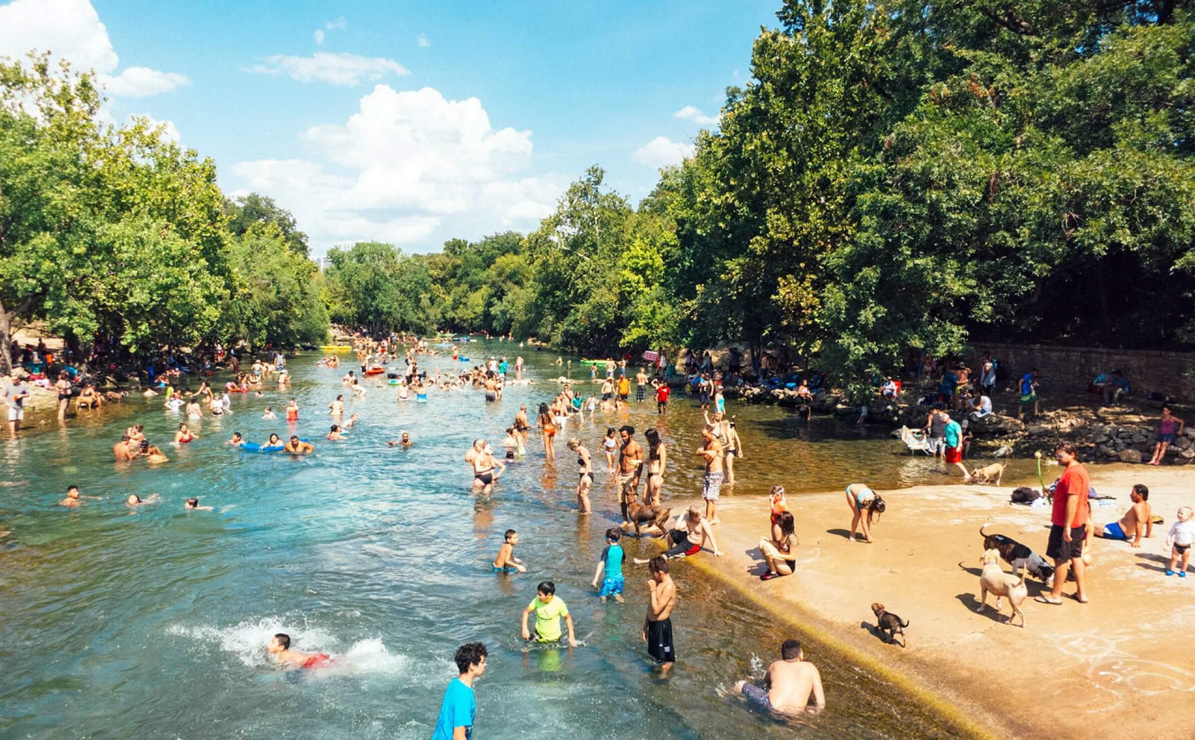 Dozens of people swimming and playing in Barton Springs Pool in Austin